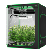 Smart Grow Tent Kit GIY-SGS-55 5x5, 6-Plant Complete System, with WiFi E42A Controller, 3x 200W AeroLight Wing SE LED Grow Light, and 6-inch AeroZesh G6 Ventilation Combo