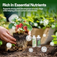 Nutrients Base A & B Bundle, Liquid Fertilizer Supports Vegetative and Flowering Stage, 8oz