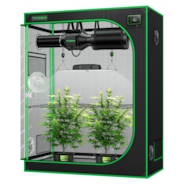 Smart Grow Tent Kit GIY-SGS-42 Lite 2x4, 2-Plant Complete System, with WiFi E42A Controller, 200W VS2000 LED Grow Light, 4-inch AeroZesh G4 Ventilation Combo, and AeroWave E6 Clip-on Fan