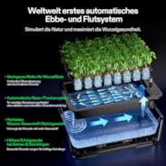 VSeed Smart Anzuchtbox, Indoor Anzucht- & Klon-System mit Ebbe-und-Flut-Bewässerung