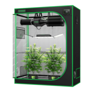 Smart Growbox Komplettset GIY-SGS-42 120 x 60 x 150 cm, Komplettsystem für 2 Pflanzen, mit WiFi E42A Controller, 200W AeroLight Wing SE LED Pflanzenlampe und 10 cm AeroZesh G4 Abluftset