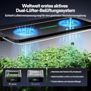 VSeed Smart Anzuchtbox, Indoor Anzucht- & Klon-System mit Ebbe-und-Flut-Bewässerung
