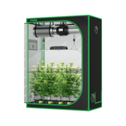 Standard Grow Tent Kit GIY-52 2x5, 3-Plant Complete System, with 200W VS2000 LED Grow Light, and 6-inch Ventilation Combo