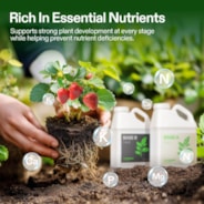 Nutrients Base A & B Bundle, Liquid Fertilizer Supports Vegetative and Flowering Stage, 1 Gallon Each