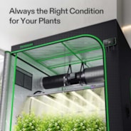 Smart Grow Tent Kit 5x5 Complete Indoor Grow System with Smart Controller, Full-Spectrum LED Grow Light & Ventilation Automation System, 1680D Mylar Tent 60"x60"x80"