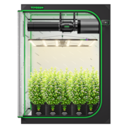 Smart Growbox Komplettset 150 x 150 x 200 cm, Komplettsystem für 6 Pflanzen, mit WiFi E42A+ Controller, 1 x 750W LumaLight LED Pflanzenlampe und 15 cm AeroZesh G6 Abluftset
