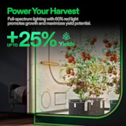 LumaRay Side Lights (8-Bar), Full Spectrum LED Bar Lights, SGS Compatible