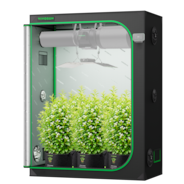 Grow Tent 5x2 S528, High Reflective Mylar with 1680D Oxford Canvas & Heavy-Duty Metal Support 60"x32"x80"