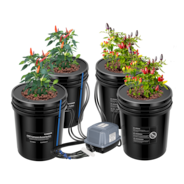 18,9L DWC Hydroponik-System Set (4 Eimer, Schwarz)
