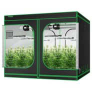 Standard Grow Tent Kit GIY-88 8x8, 16-Plant Complete System, with 4x 430W VSFL4300 LED Grow Light, and 2x 8-inch Ventilation Combo