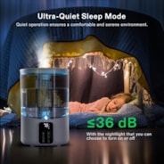 4L 2-in-1 Top Fill Cool & Warm Mist Air Humidifier