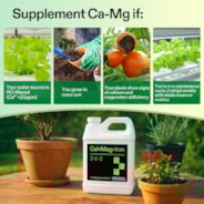 Cal+Mag+Iron (2-0-0), Calcium, Magnesium & Iron Supplement, Liquid Nutrient Fertilizer for All Plants, 1 Quart