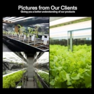 T5 HO Fluorescent Grow Light 3000K, Gentle on Foliage, 4FT 5 Pack