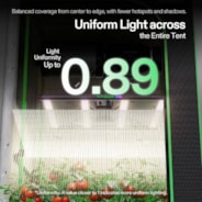 LumaLight 320W LED Grow Light, Full Spectrum Indoor Plant Light with Deep Canopy Penetration, 3x3ft Coverage, GrowHub Compatible
