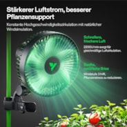 AeroWave A6 Clip Fan für Growzelte, 15 cm automatisch oszillierender Ventilator mit AC-Motor, 1er-Pack