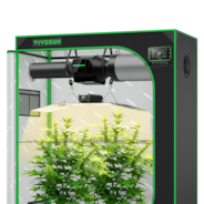 VIVOSUN Smart Growbox Komplettset, 120×60 cm – 2-Pflanzen-System
Intelligentes, vollautomatisches Grow-Setup mit WLAN-Steuerung, integriertem GrowHub E42A+ Controller und hocheffizientem Full-Spectrum LED Grow Light