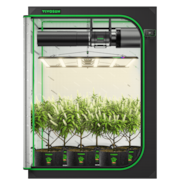 Smart Grow Tent Kit 5x5 Complete Indoor Grow System with Smart Controller, Full-Spectrum LED Grow Light & Ventilation Automation System, 1680D Mylar Tent 60"x60"x80"
