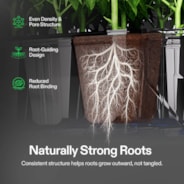 Seed Rooter, Plant Starter Plugs, Support Robust Roots for Seedlings and Cuttings, 40 Cubes, Designed for VSeed Smart Box & Seed Starter Trays