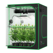 Smart Growbox Komplettset GIY-SGS-55 Pro 150 x 150 x 200 cm, Komplettsystem für 6 Pflanzen, mit WiFi E42A+ Controller, 3 x 200W AeroLight Wing LED Pflanzenlampe, 15 cm AeroZesh T6 Abluftset und AeroWave E6 Gen2 Gen2 Clip Fan