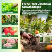 Nutrients Base A & B Bundle, Liquid Fertilizer Supports Vegetative and Flowering Stage