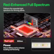 LumaRay Side Lights (8-Bar), Full Spectrum LED Bar Lights, SGS Compatible