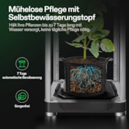 VGrow Smart Growbox