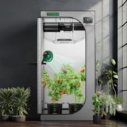 Gray Grow Tent 3x3 G336, 2-4 Plants Use, High Reflective Mylar, 36″ x 36″ x 72″, For Indoor Plants Growing