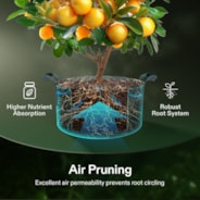 100 Gallon Grow Bags 1-Pack Black Thickened Nonwoven Fabric Pots with Handles