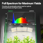 Complete Grow Tent Kit 4x2 Indoor Grow System with GrowHub WiFi Controller, Efficient Ventilation & Full-Spectrum LED Grow Light, 1680D Mylar Lightproof Tent 48"x24"x72"