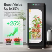 VGrow Smart Box & DWC Hydroponics Growing System Kit, Smart Indoor Gardening with Automated Plant Growing