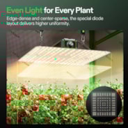 LumaLight LED Grow Light, Full Spectrum Plant Light, 100W Smart Dimmable & High PPFD for Indoor Plants Seedling Vegetables Bloom