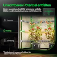 LumaRay Lichtleiste (4-Balken), Vollspektrum LED-Lichtbalken, SGS-kompatibel