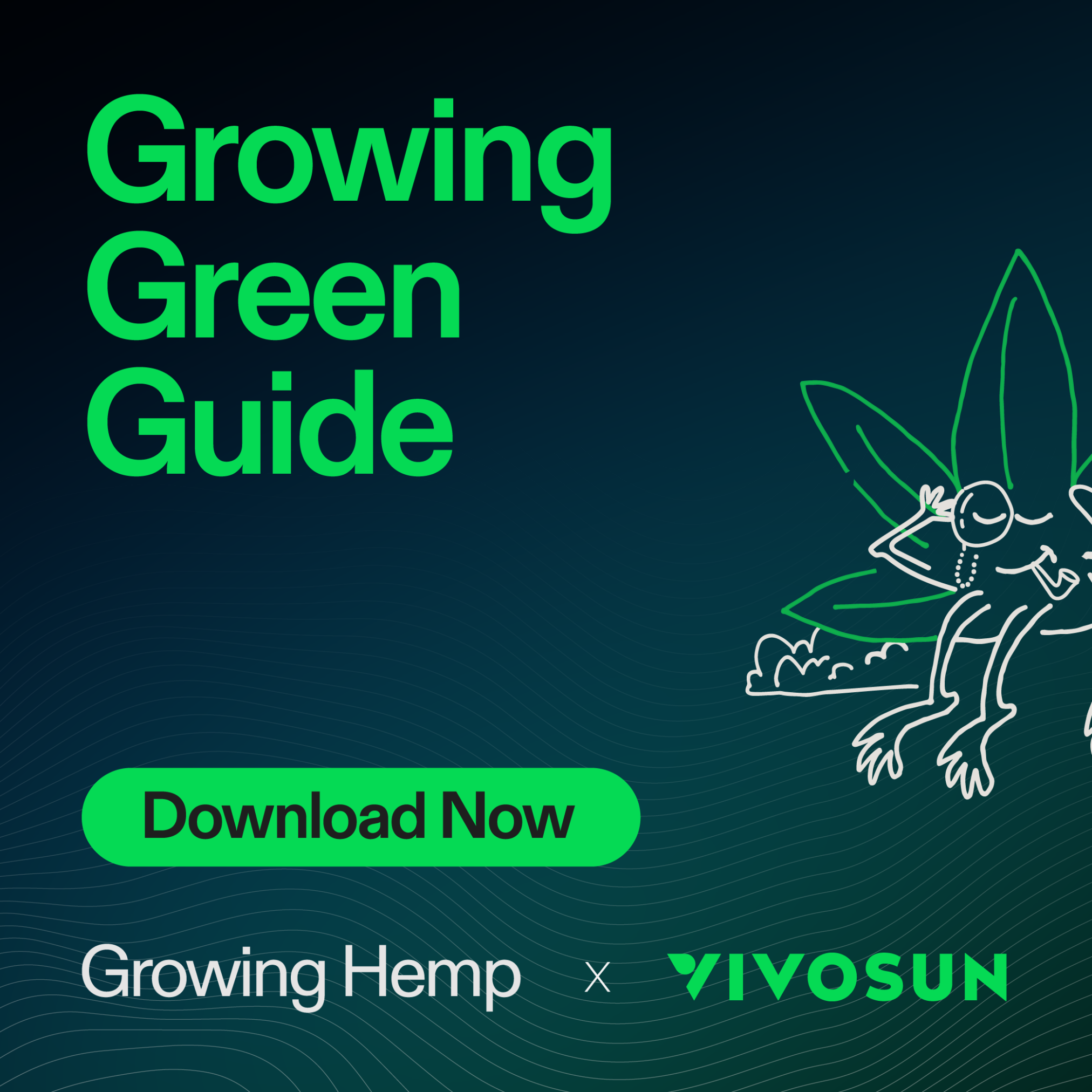 Growing Hemp