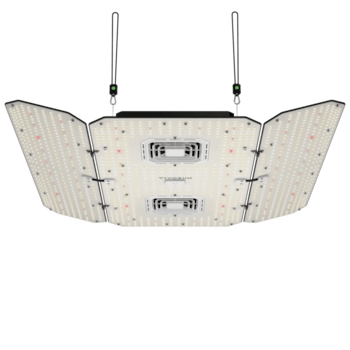https://image.next.vivosun.com/asset/width-1000/picture/05a9b05dbcccbebaf860f299c08199a9.png
