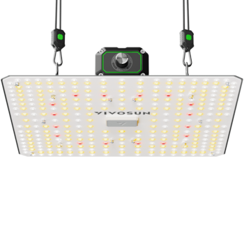 https://image.next.vivosun.com/asset/width-1600/picture/1763e87c149073b55165c44d9f0c0daf.png
