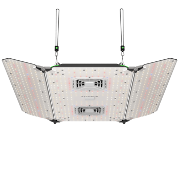 https://image.next.vivosun.com/asset/width-1000/picture/65140112ee2f21058425fe9a03f8396a.png