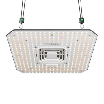 https://image.next.vivosun.com/asset/width-1500/picture/a8b7b0067cbbf4e38db1d81cbfd17b17.png