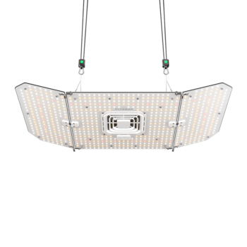 https://image.next.vivosun.com/asset/width-1000/picture/feab3c7f6d003c6247b18ca7b57ae824.png