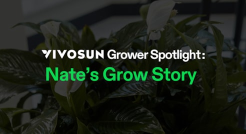 2-er Pack VS1000E Vollspektrum LED Grow Light Lichtpanel 100W, Hoher PPFD & Geringe Wärmeentwicklung, 60x60 cm Abdeckfläche