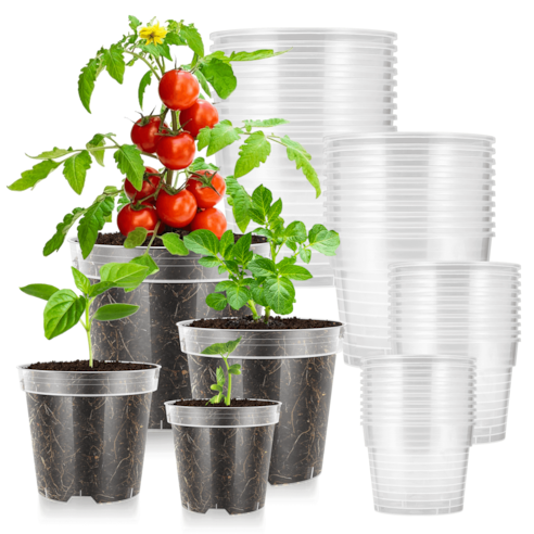 40 Packs 3/4/5/6 Inch Clear Nursery Pots with Drainage Holes