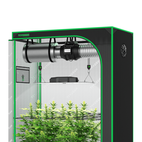 Standard Grow Tent Kit GIY-52 2x5, 3-Plant Complete System, with 200W VS2000 LED Grow Light, and 6-inch Ventilation Combo