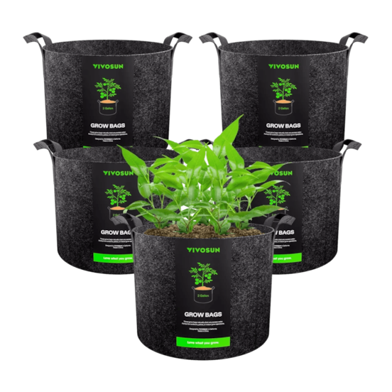 2 Gallon Grow Bags 5-Pack Black Thickened Nonwoven Fabric Pots with Handles