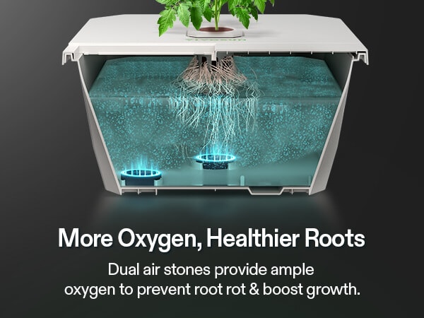VGrow Smart Hydroponics Kit: Smart Grow Box + DWC Growing System