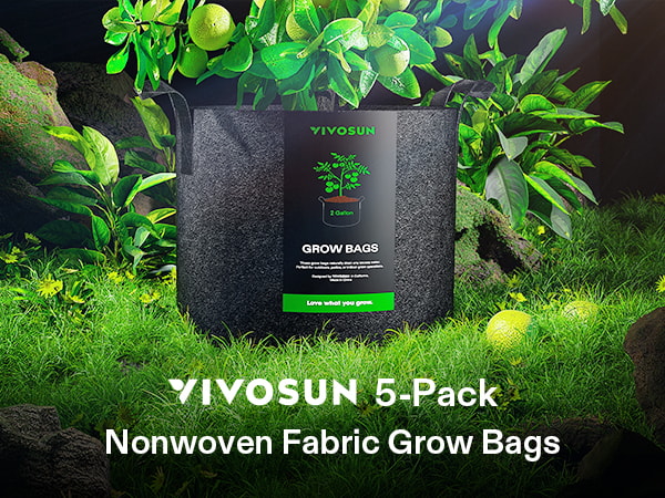 Plant popular Based Bags (5 Packs)