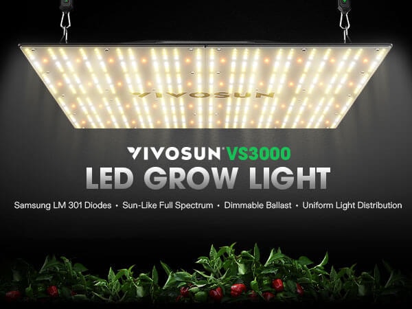 Vivosun on sale 300w led