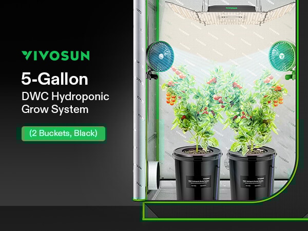 5 Gallon DWC Hydroponic System Kit (2 Bucket, Black)