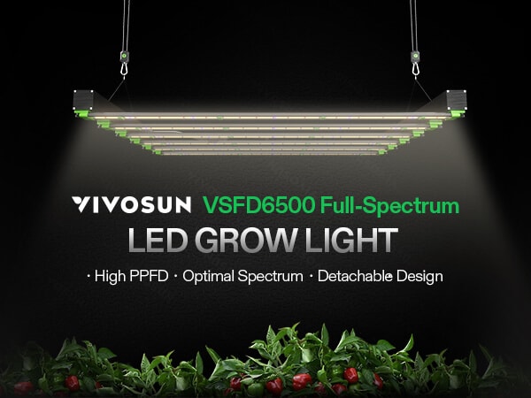 VSFD6500 Full Spectrum LED Grow Light Bar 650W, Detachable Design