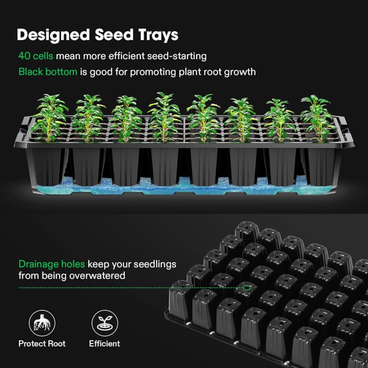 10 Pack of Durable Black Plastic Germination Growing Trays (with Drain Holes) 10, Size: Pack of 10