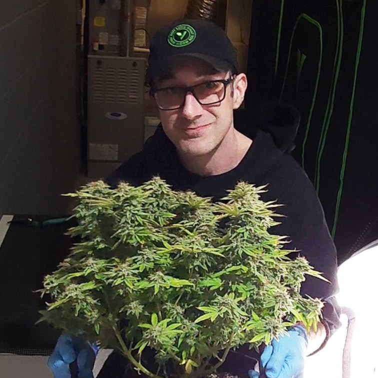 Plant 3