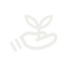 Vivosun